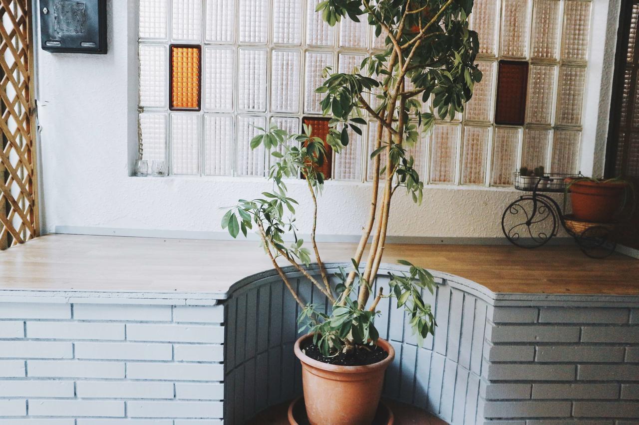 Harmony Hostel Barcelona Eksteriør billede